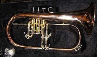 Bugle  louer  Lorient - Caudan chez Bernard Loffet